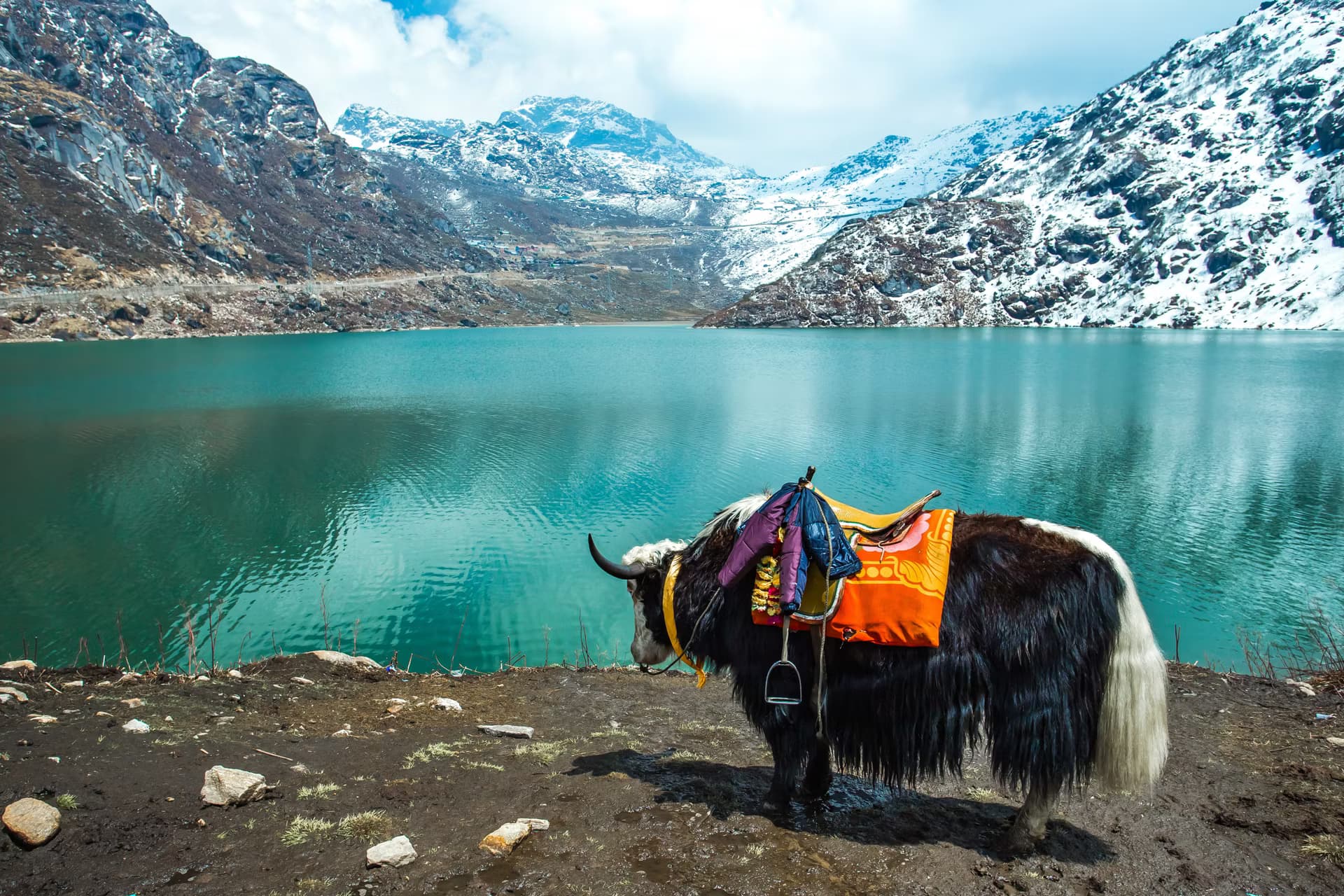 Darjeeling & Sikkim — photo 2