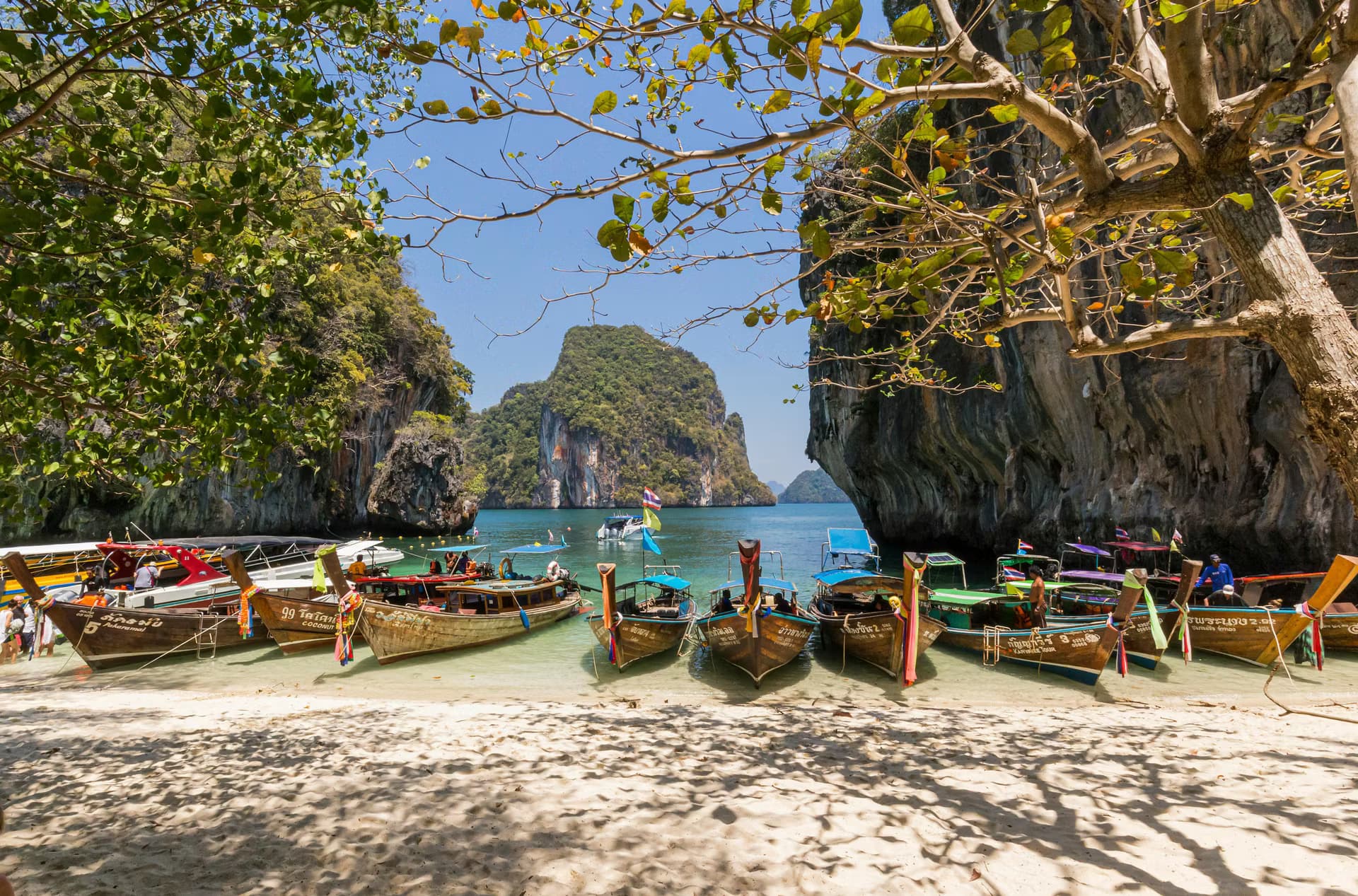 Tomorrowland Thailand 2026 — photo 3