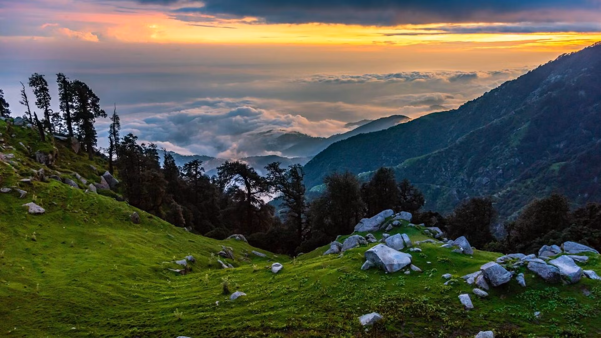 Mcleodganj Triund