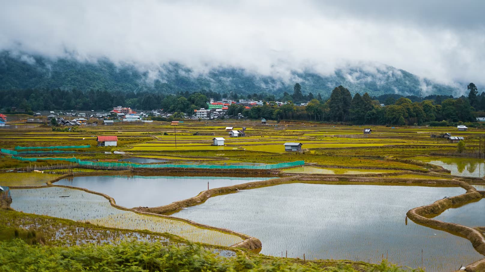 Ziro Festival of Music 2026 - Homestay Edition — photo 3