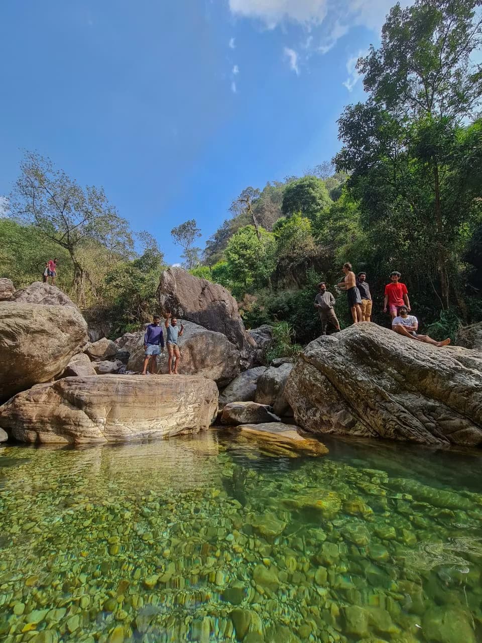 Cherry Blossom Festival in Meghalaya 2026 — photo 5