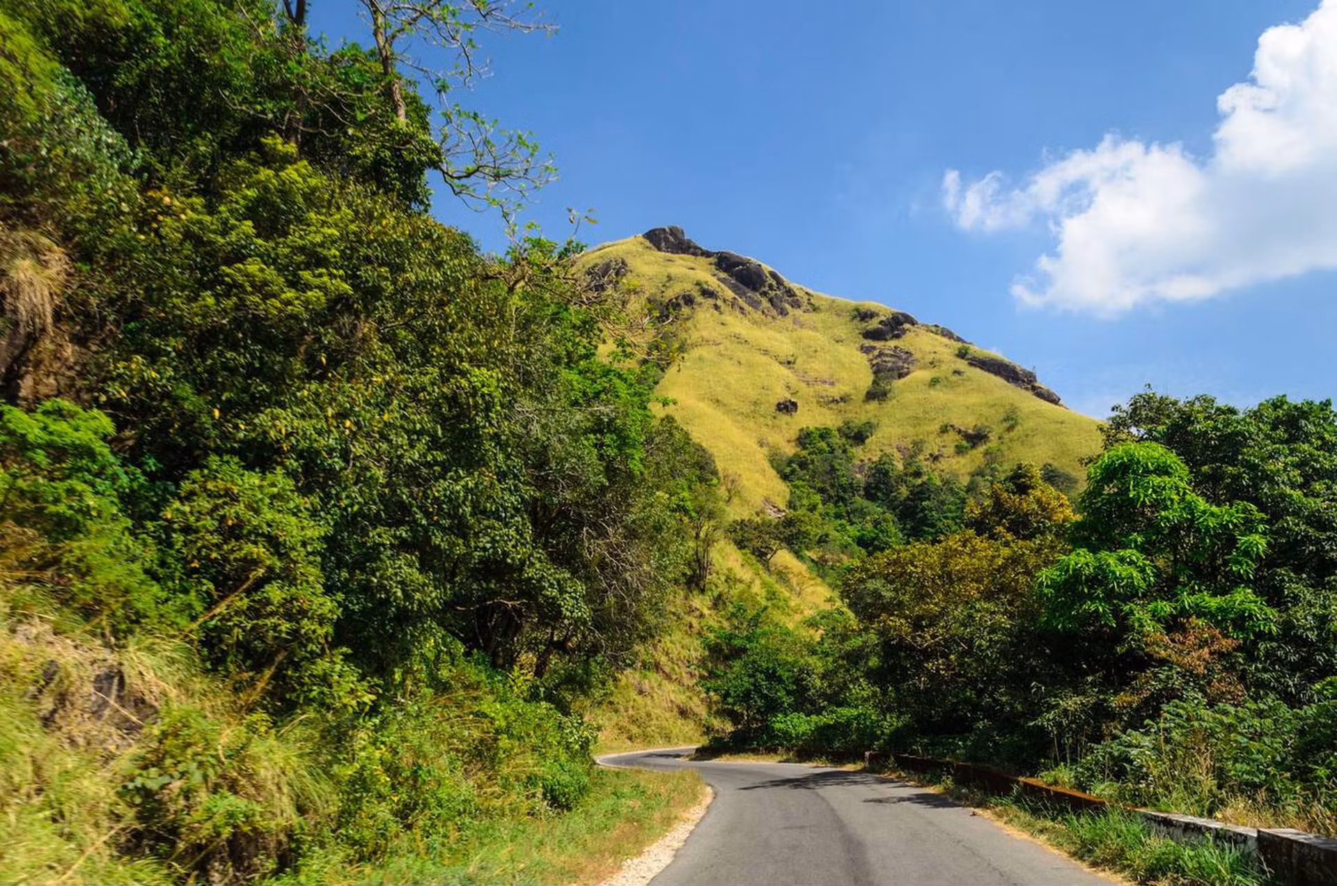 Overnight Journey from Bangalore