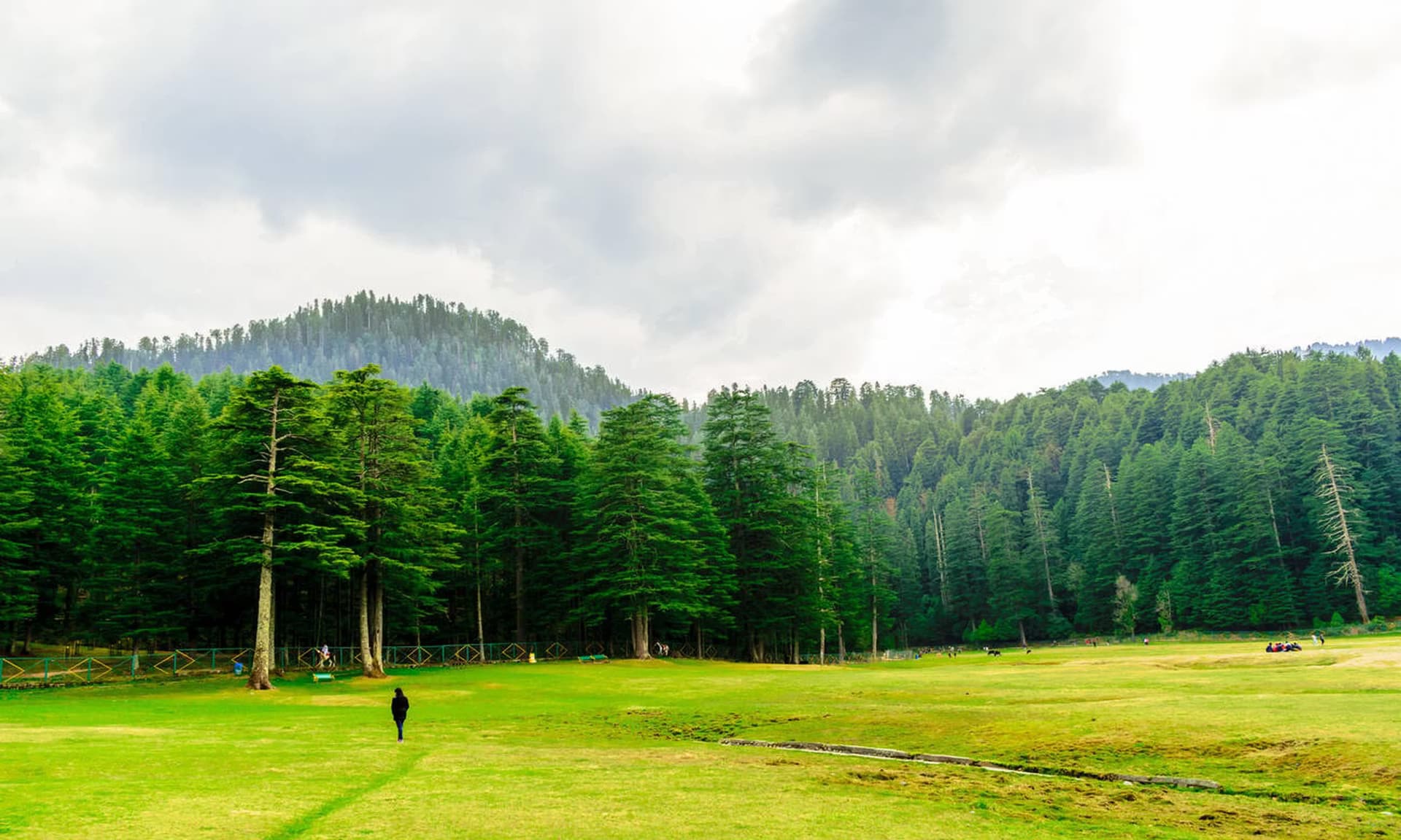 Dalhousie & Khajjiar — photo 3