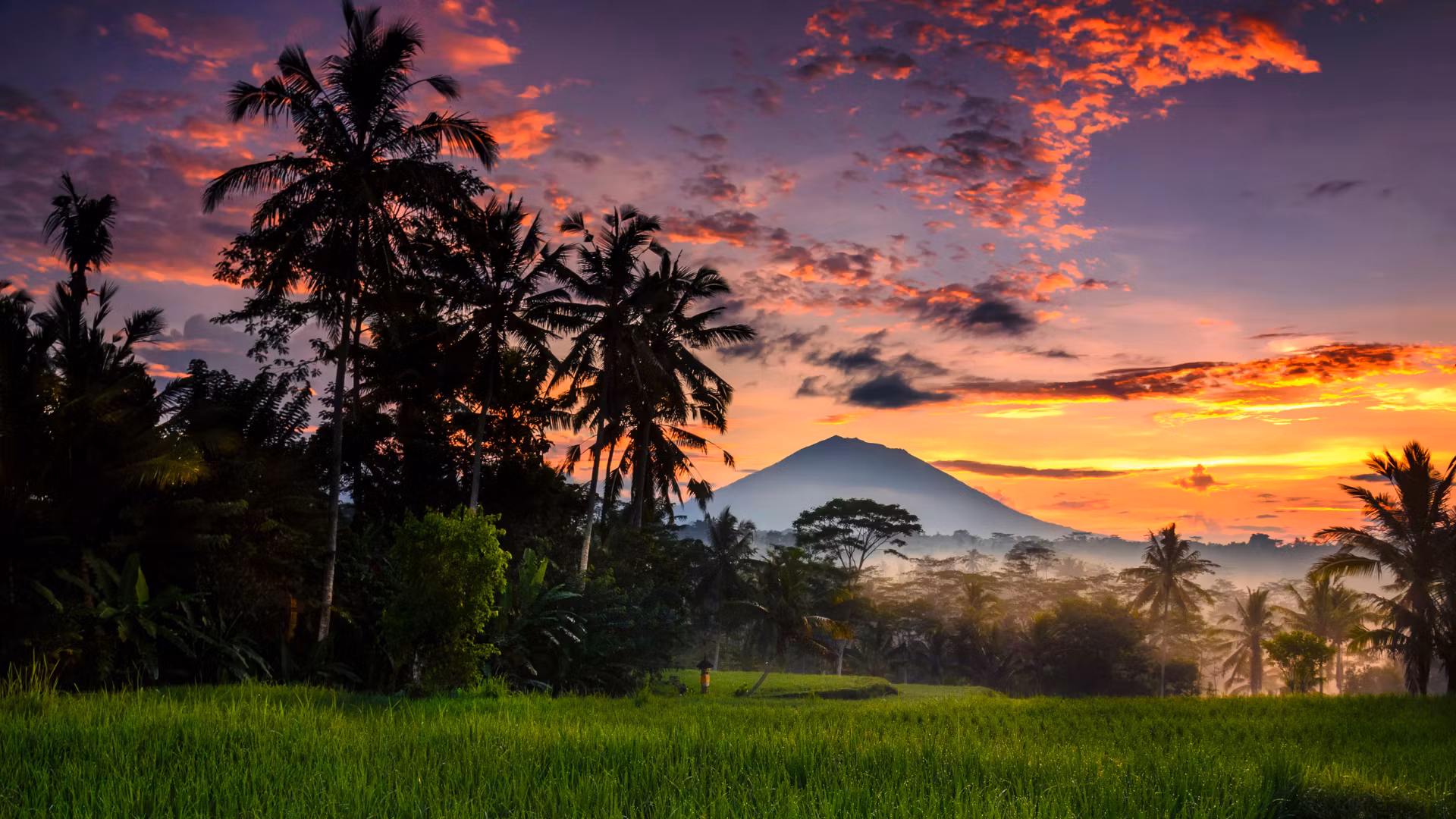 Arrival in Bali: Transfer to Ubud