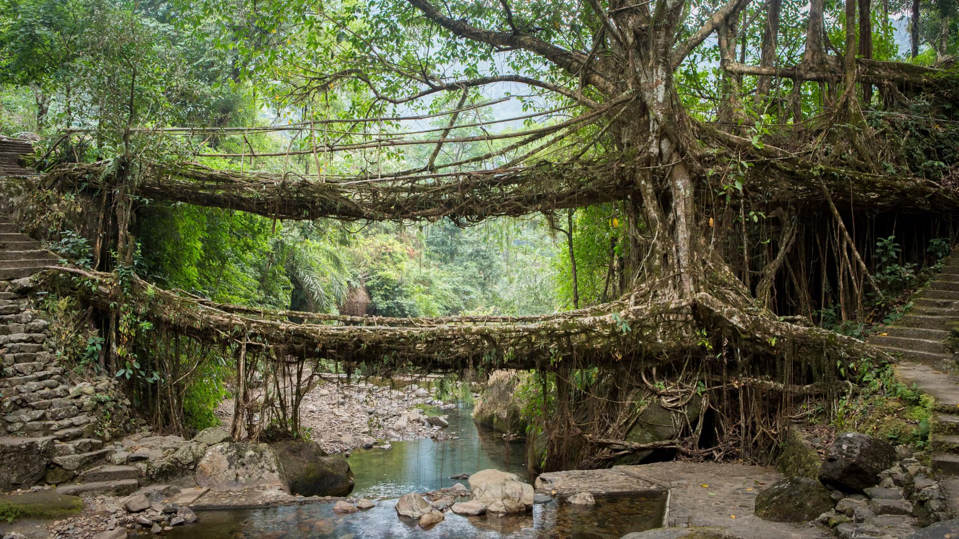 Meghalaya Highland Offbeat Roadtrip — photo 3