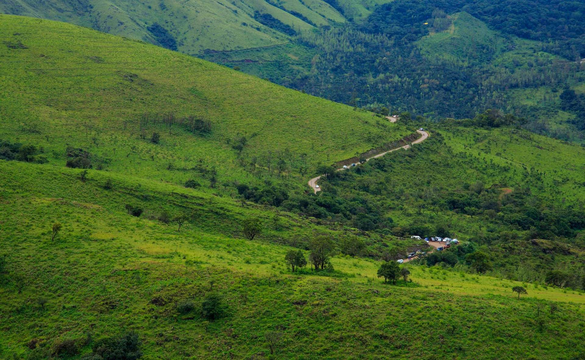 Chikkamagaluru — photo 2