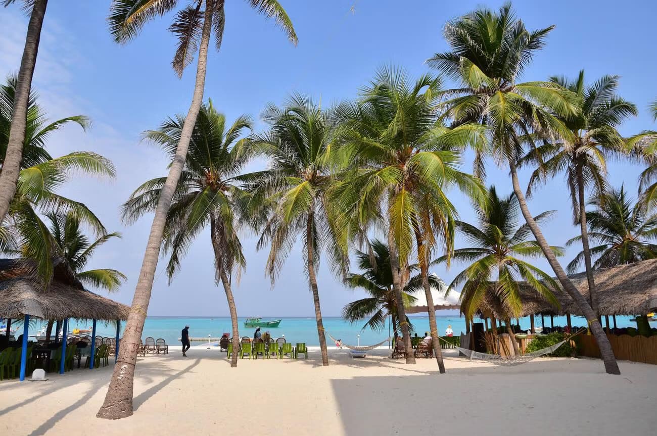 Lakshadweep — photo 5
